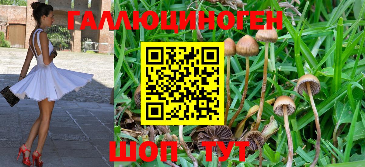 Псилоцибиновые грибы мухоморы Каменск-Шахтинский