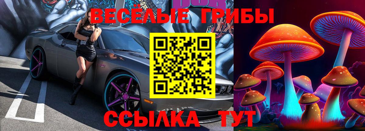 Галлюциногенные грибы Psilocybe  Галлюциногенные грибы Psilocybe  Каменск-Шахтинский  Вход с VPN 